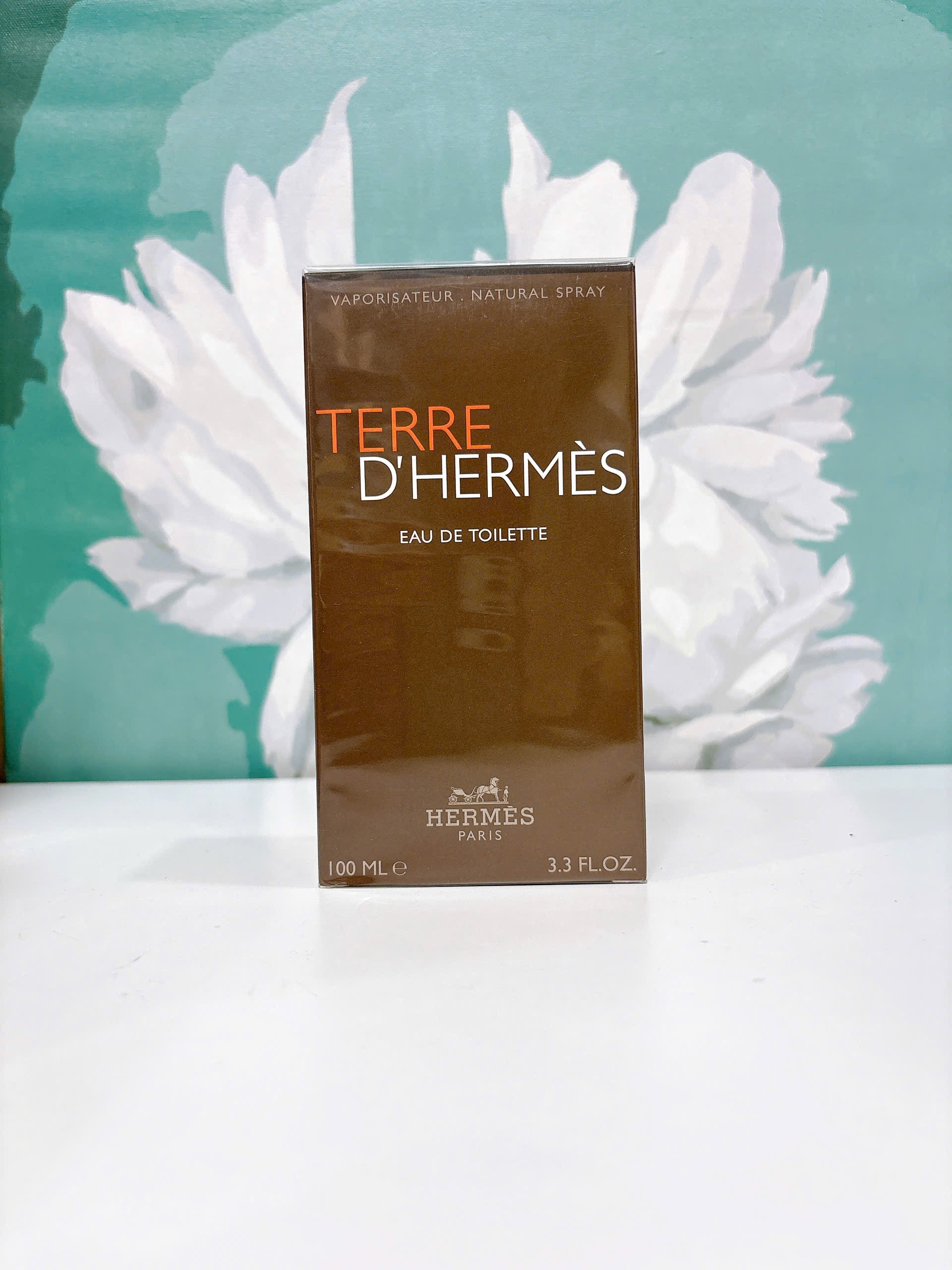 Hermes Terre D'hermes EDT 100ml